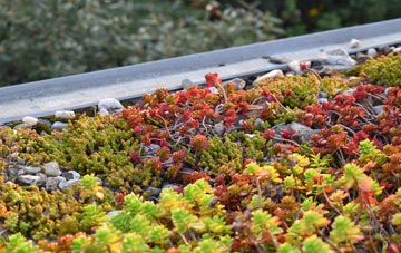 the cost of Drumnadrochit green roof installation