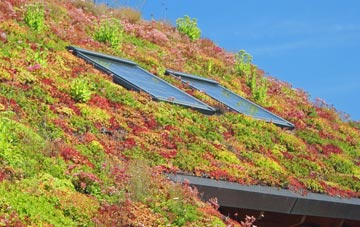 Drumnadrochit living roof systems