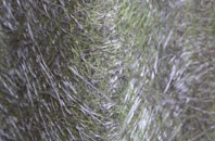 Drumnadrochit fibreglass roof work